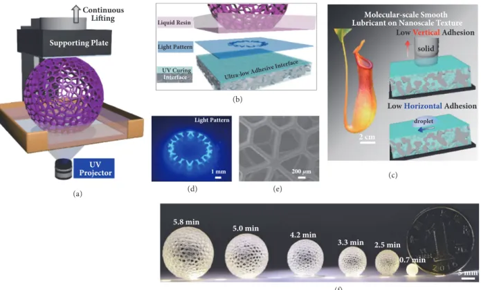 Figure 1: Continuous 3D construction on the ultra-low adhesive energy interface. (a) Schematic demonstration of the continuous 3D printing process through simultaneously lifting the supporting plate