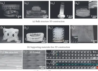 Figure 4: Rapid fabrication of 3D architectures by continuous 3D printing process. (a) Optical images of bulk structures including (a 1 ) the bulk ear structure with contact area of ∼ 7 cm × 3 cm; (a 2 ) the gate of Heavenly structure; (a 3 ) the Leaning T