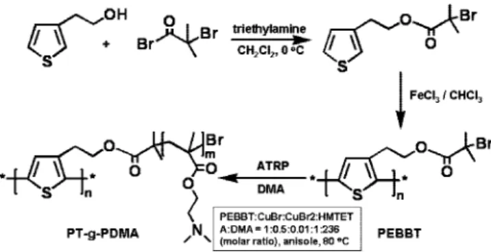 Table 1 . Molecular Weight Characterization by GPC polymer 10 -6 M n M w /M n 10 -6 M n M w /M n