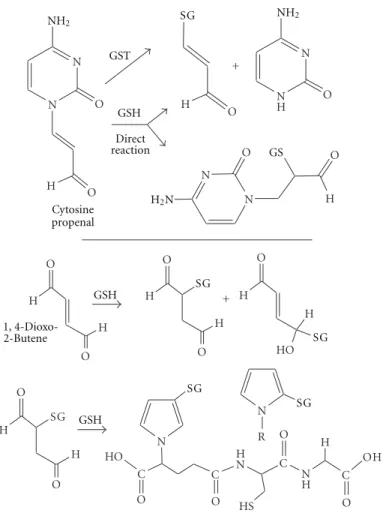 Figure 10: Formation of glutathione adducts of 2-deoxyribose oxidation products.