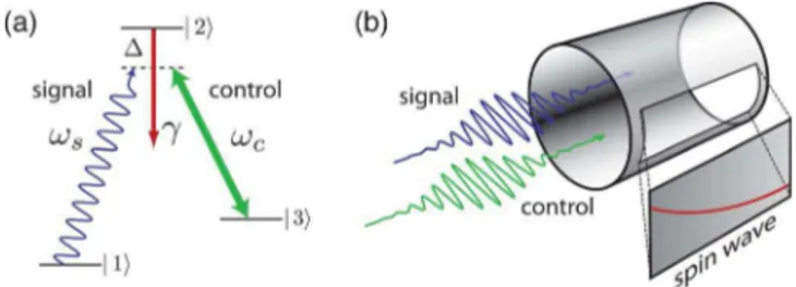 FIG. 1. 共Color online兲 共a兲 The level structure of the atoms in a typical ensemble memory