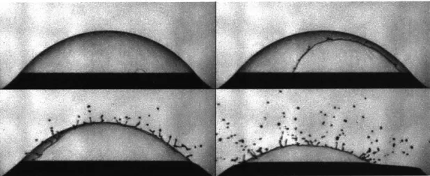 Figure  1-5:  Film  drops  created  from  the burst  of a bubble  of radii  on  the  order  of 2-5 mm