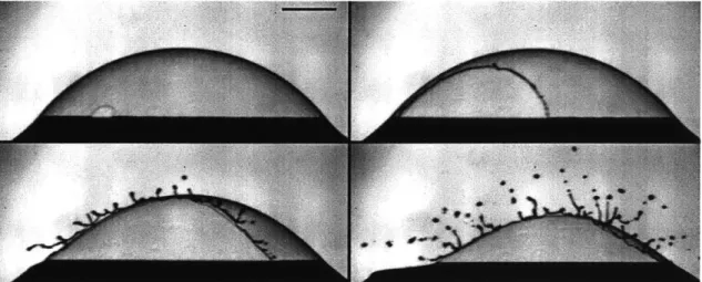 Figure  2-1:  A  22s-old  bursting  bubbles  gives  birth to  numerous  micro  droplets