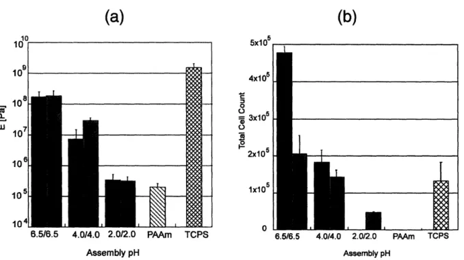 Figure 1-4. Graphs comparing (a) elastic modulus and (b) cell counts for human microvascular endothelial cells