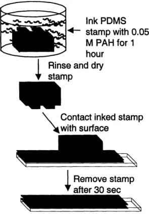 Figure 2-1. Diagram illustrating the polymer-on-polymer stamping process for PAH on a PAA/PAH multilayer platform.