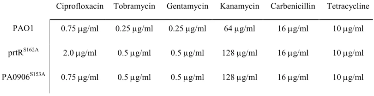 Table S1. Minimal inhibitory concentration of several antibiotics for prtR S162A , PA0906 S153A , and PAO1  strains