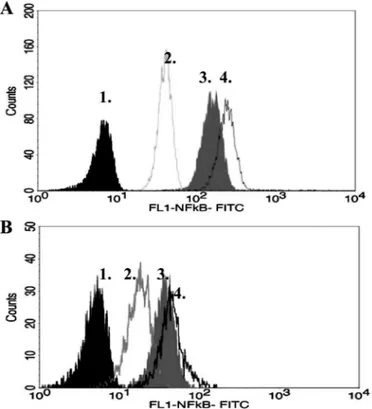 Fig. 2. Representative fluorescence histograms for NF-␬B FITC staining [1, unstained; 2, isotype (normal mouse IgG 1 ); 3, NF-␬B p65; 4, NF-␬B p65 in vitro LPS] for polymorphonuclear neutrophils (PMN; A) and peripheral blood mononuclear cells (PBMC; B)