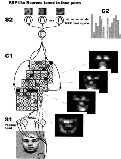 Figure  2-3:  Sketch  of  the  HMAX  model  with  feature  learning:  Patterns  on  the  model