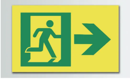 Figure 1 : Panneau de signalisation de l’issue de secours avec « l’homme qui court »