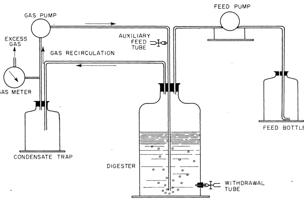 Figure  4  Continuous  Feed  Digester  System