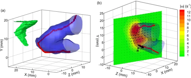 Figure 2-1: Giant danio wake, from SAPIV measurements, used to assess symmetry assumptions and circulation uncertainty in 2D wake analysis