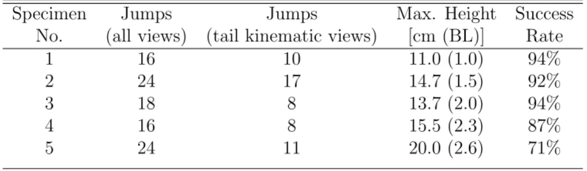 Table 3.2: The total number of jumps, maximum observed height and success rate of each fish used for 2D kinematic analysis.
