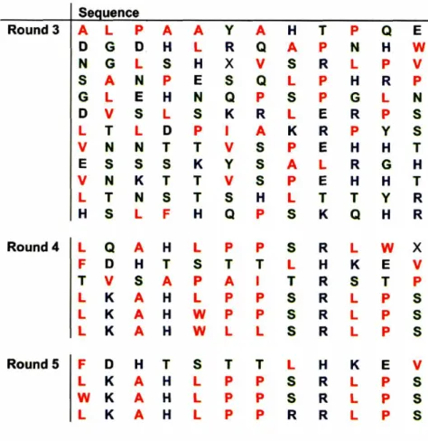 Table 2.6 Gold binding sequences from the Ph.D.12 library 5e uence Round 3 A L P A A Y A H T P Q E 0 G 0 H L R Q A P N H W N G L 5 H X V S R L P V 5 A N P E S Q L P H R P G L E H N Q P S P G L N 0 V 5 L S K R L E R P S L T L 0 P I A K R P y S V N N T T V 5