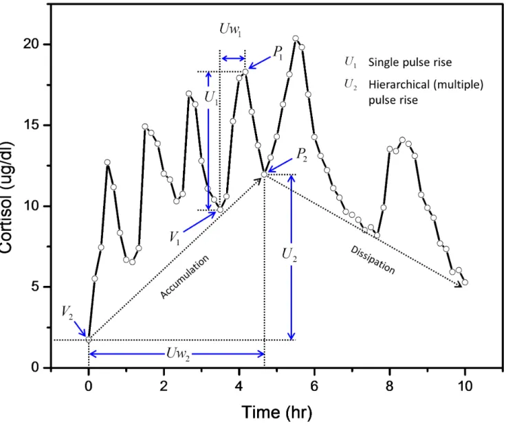 Figure 1. Hierarchically embedded cortisol pulses. An example adapted from experimental data (black line) with six major cortisol pulses