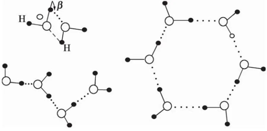 Figure 3. Illustration of potential linear and circular clusters of hydrogen-bonded water  molecules induced by an external magnetic field as proposed by Pang 2006 [87]