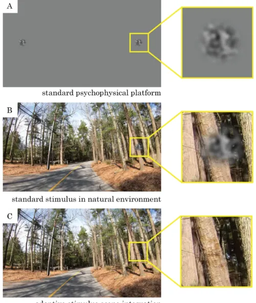 Figure 16. Windowed Gaussian noise comparison, (a) standard psychophysical stimulus and environment, (b)  standard stimulus and natural environment, and (c) our method of stimulus overlaid with the natural 