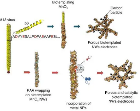 Figure 1. Schematic of a nanocomposite structure