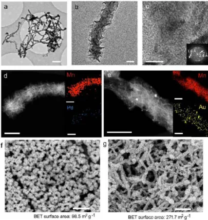Figure 2. Electron microscope images of catalyst materials