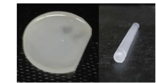 Figure 8. On the left, a disk-shaped phantom of silica microspheres in silicone and, on the right, an artery-shaped phantom of silica microspheres in silicone.