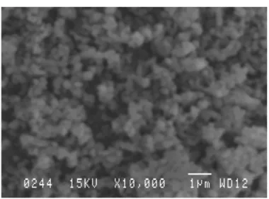 Figure 1. SEM image of an alumina powder. The nominal diameter is 1 µm.