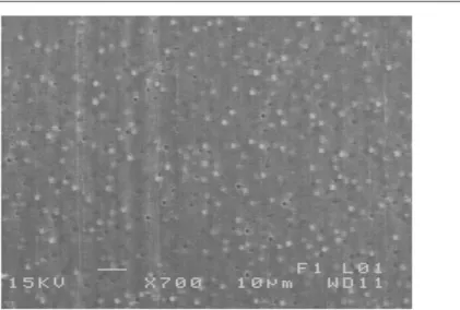 Figure 3. SEM image of a phantom containing 7 × 10 9 part ml − 1 of 2.34 µm silica microspheres.