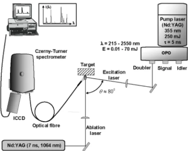 FIGURE 1. Schematic of our experimental setup. 