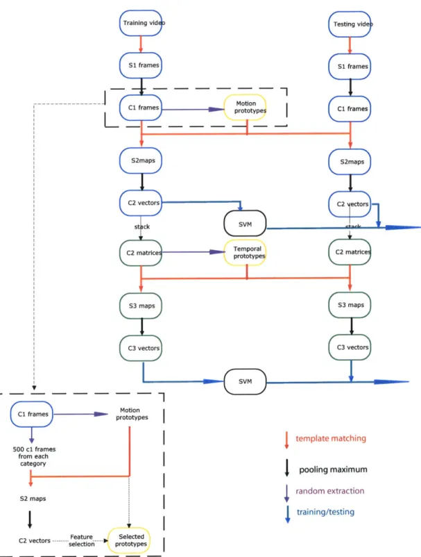 Figure  3-3:  The  upper  part  (blue) shows  the building  of C2  vectors  through  repeated matching/pooling  mechanisms  in  the  SI-C 2  stages,  and  the  lower  part  (green)  shows that, stacked  C2 vectors go through  another matching/pooling  mech