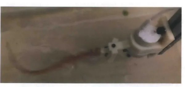 Figure 3-7.  A  Screenshot of the Preliminary Experiment Video