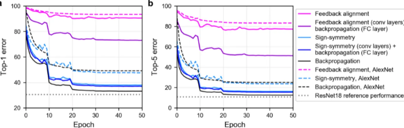 Figure 1: a, Top-1 and b, top-5 validation error on ImageNet for ResNet-18 and AlexNet trained with different learning algorithms