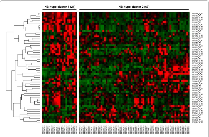 Figure 2 Heatmap of the 62 probesets in the 88 neuroblastoma tumors. The expression data for each individual probeset have been scaled and  are represented by pseudo-colors in the heatmap