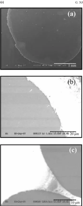 Fig. 1. SEM images of the dehydrated drop of gold nanoparticles after dialysis. (a) global view of the drop; (b) and (c) the outer ring.