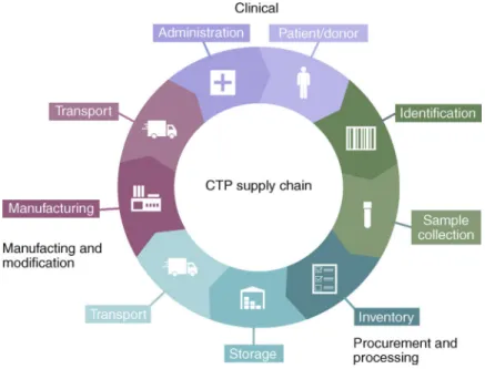 Fig. 7 |. Supply chain for CTPs.