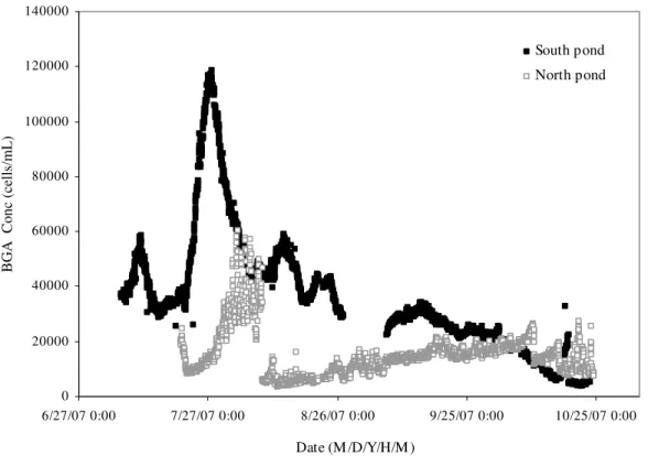 Fig 6.  Variation of blue green algae (BGA) near outlet locations during monitoring period