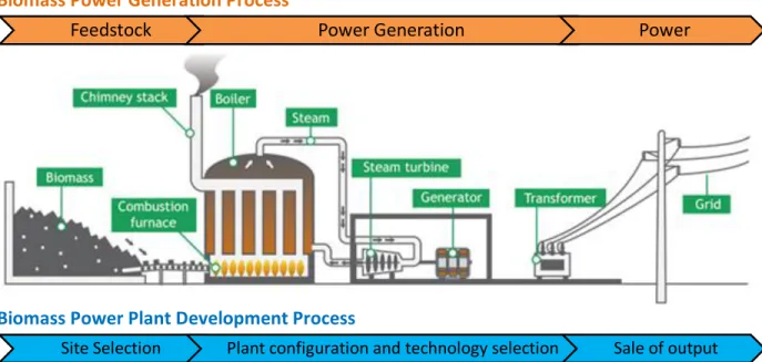 Figure 11: Biomass Power Generation Process  Biomass Power Generation Process 