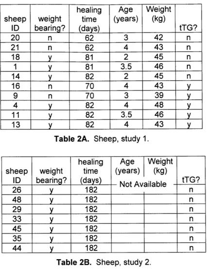 Table  2A.  Sheep, study  1.