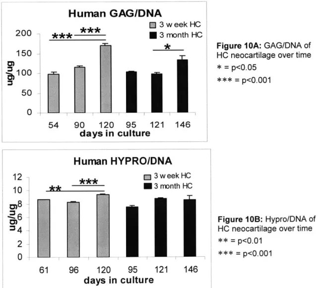 Figure  IOA:  GAG/DNA  of HC  neocartilage  over time