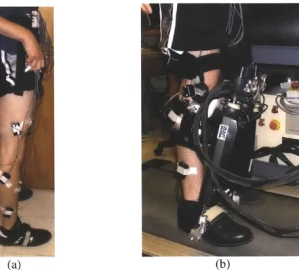 Figure  2:  (a)  Sensor  setup  of  the  dominant  leg,  including  the goniometers,  emg  sensors,  and  foot  switch