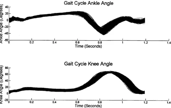 Figure  3:  The  prototypical  gait  cycle  angles  for  a  subject's  ankle (top)  and  knee  (bottom)
