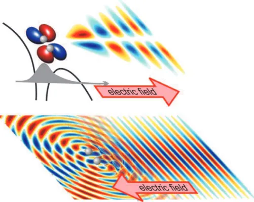 Figure 3 presents an expanded view of the p x -p y projections of the electron momenta from N 2 and O 2 and focuses on the central part of the distribution
