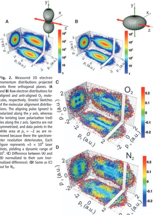 Fig. 2. Measured 3D electron momentum distributions projected onto three orthogonal planes