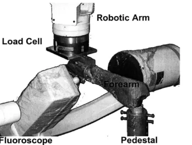 Figure  8.  Flouroscope  used  to measure  position of pins with forearm  under 100  N compressive  load,  before  and  after transection  of IOL