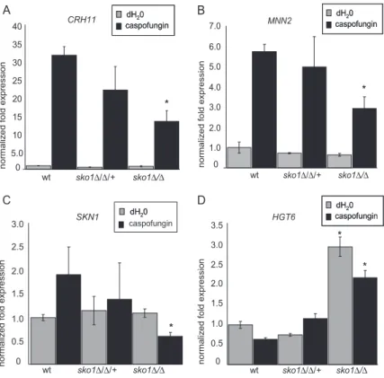 Figure 5. Hog1-dependent phosphorylation of Sko1 after osmotic stress. (A) Sko1-V5 was visualized on an immunoblot of wt cells (strain JMR143) or hog1 ⌬ / ⌬ cells, with or without 1.5 M NaCl  treat-ment for 10 min