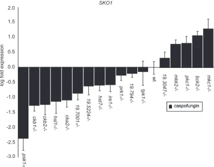 Figure 7. Psk1 Requirement for SKO1 expression. (A) RT-PCR analysis of SKO1 expression in reference strain DAY185, the  pro-totrophic psk1⌬/⌬ mutant strain (JMR192), and the  psk1⌬/⌬/⫹-com-plemented strain (JMR188) with or without caspofungin treatment.