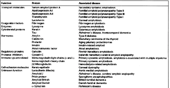 Table  1.1  A summary  of  amyloid-related  diseases  is given  along  with  the  corresponding amyloid forming  protein  and  its natural  biological  function [23].