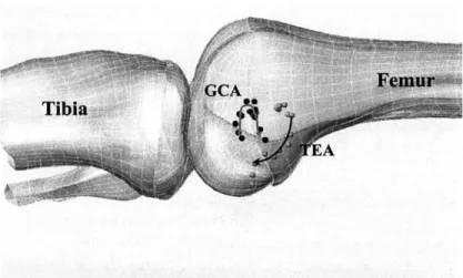 Figure 9:  Graphic  representation  of femoral  translation  on  the medial  side using the TEA and  the  GCA.