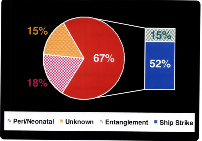 Figure  1.2:  Relative  mortality  statistics  from post-mortem  examination  of 40 carcasses retrieved  between  1970 - December  2006