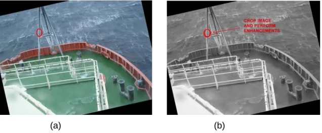 Figure 6: (a) Icing image rotated (b) rotated and converted to greyscale 