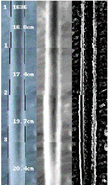 Figure 10: Generated image of linear structure (black pole structure) 