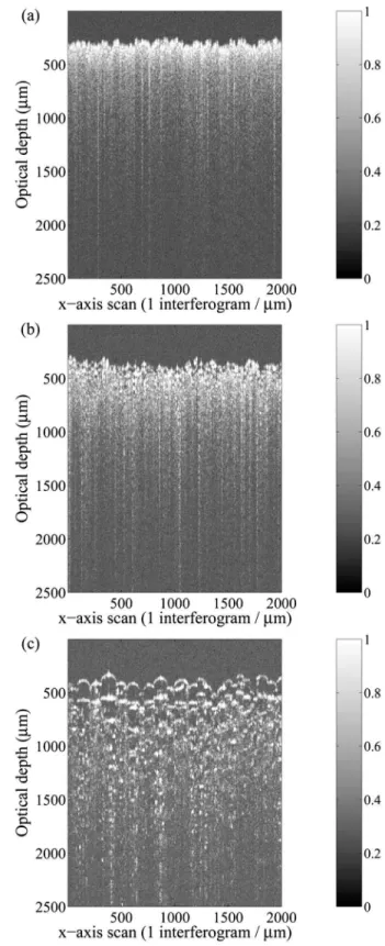 Fig. 3 Examples of OCT cross-sectional images acquired for 共a兲 powder 1, 共b兲 powder 3, and 共c兲 powder 5