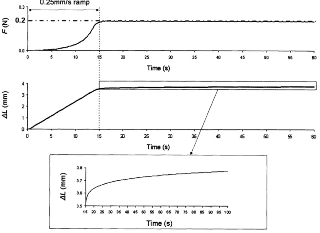 Figure  2-5:  Uniaxial  creep  test  definition  over the  first  100 seconds.